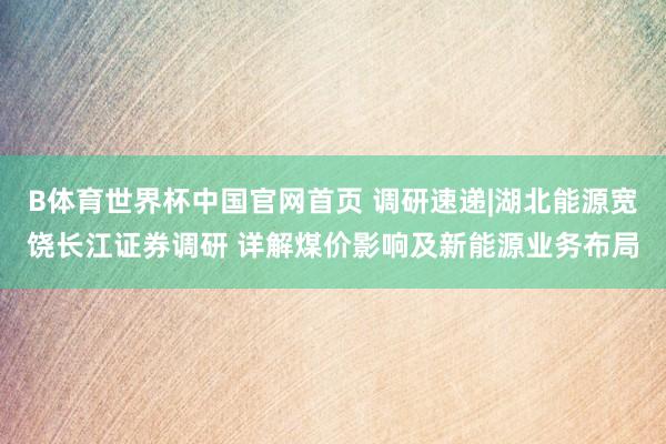 B体育世界杯中国官网首页 调研速递|湖北能源宽饶长江证券调研 详解煤价影响及新能源业务布局