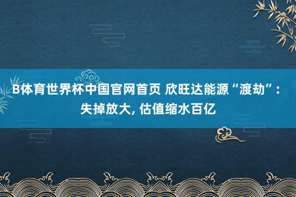 B体育世界杯中国官网首页 欣旺达能源“渡劫”: 失掉放大， 估值缩水百亿