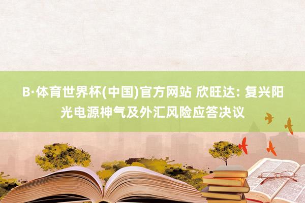 B·体育世界杯(中国)官方网站 欣旺达: 复兴阳光电源神气及外汇风险应答决议
