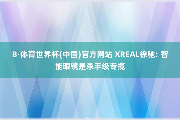 B·体育世界杯(中国)官方网站 XREAL徐驰: 智能眼镜是杀手级专揽