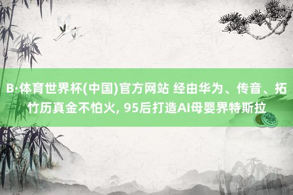 B·体育世界杯(中国)官方网站 经由华为、传音、拓竹历真金不怕火， 95后打造AI母婴界特斯拉