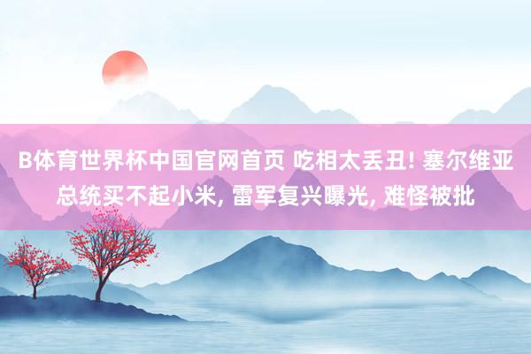 B体育世界杯中国官网首页 吃相太丢丑! 塞尔维亚总统买不起小米， 雷军复兴曝光， 难怪被批