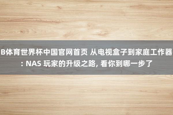 B体育世界杯中国官网首页 从电视盒子到家庭工作器: NAS 玩家的升级之路， 看你到哪一步了
