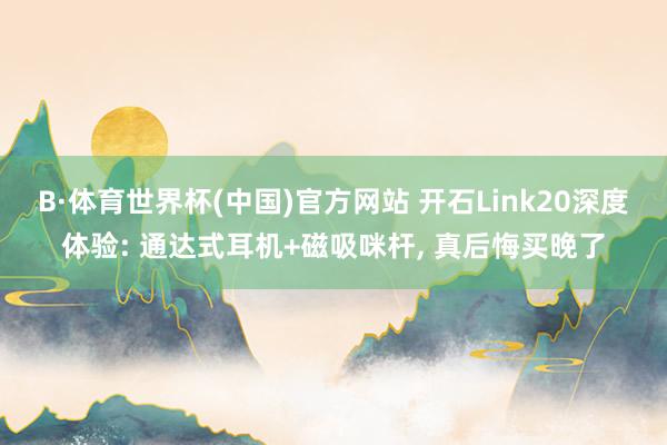 B·体育世界杯(中国)官方网站 开石Link20深度体验: 通达式耳机+磁吸咪杆， 真后悔买晚了