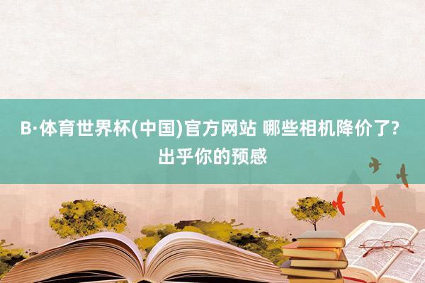 B·体育世界杯(中国)官方网站 哪些相机降价了? 出乎你的预感
