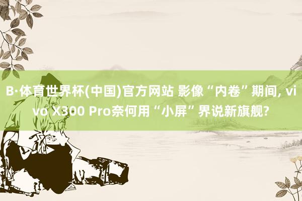 B·体育世界杯(中国)官方网站 影像“内卷”期间， vivo X300 Pro奈何用“小屏”界说新旗舰?