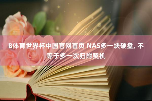 B体育世界杯中国官网首页 NAS多一块硬盘， 不等于多一次归附契机