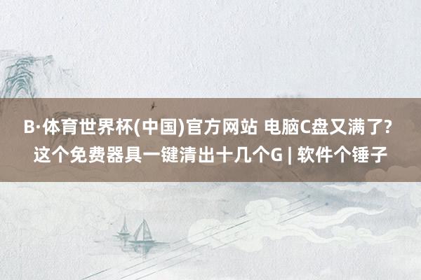 B·体育世界杯(中国)官方网站 电脑C盘又满了? 这个免费器具一键清出十几个G | 软件个锤子