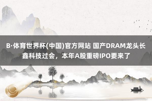 B·体育世界杯(中国)官方网站 国产DRAM龙头长鑫科技过会，本年A股重磅IPO要来了