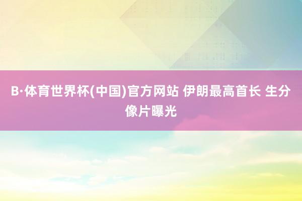 B·体育世界杯(中国)官方网站 伊朗最高首长 生分像片曝光