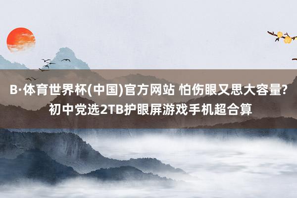 B·体育世界杯(中国)官方网站 怕伤眼又思大容量? 初中党选2TB护眼屏游戏手机超合算