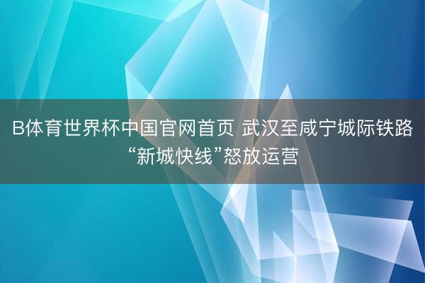 B体育世界杯中国官网首页 武汉至咸宁城际铁路“新城快线”怒放运营