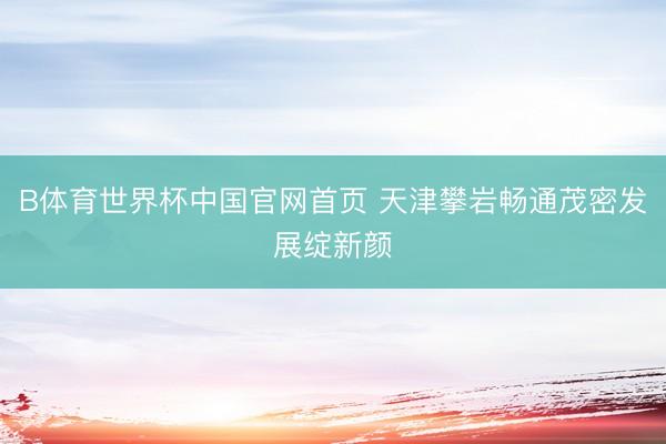 B体育世界杯中国官网首页 天津攀岩畅通茂密发展绽新颜